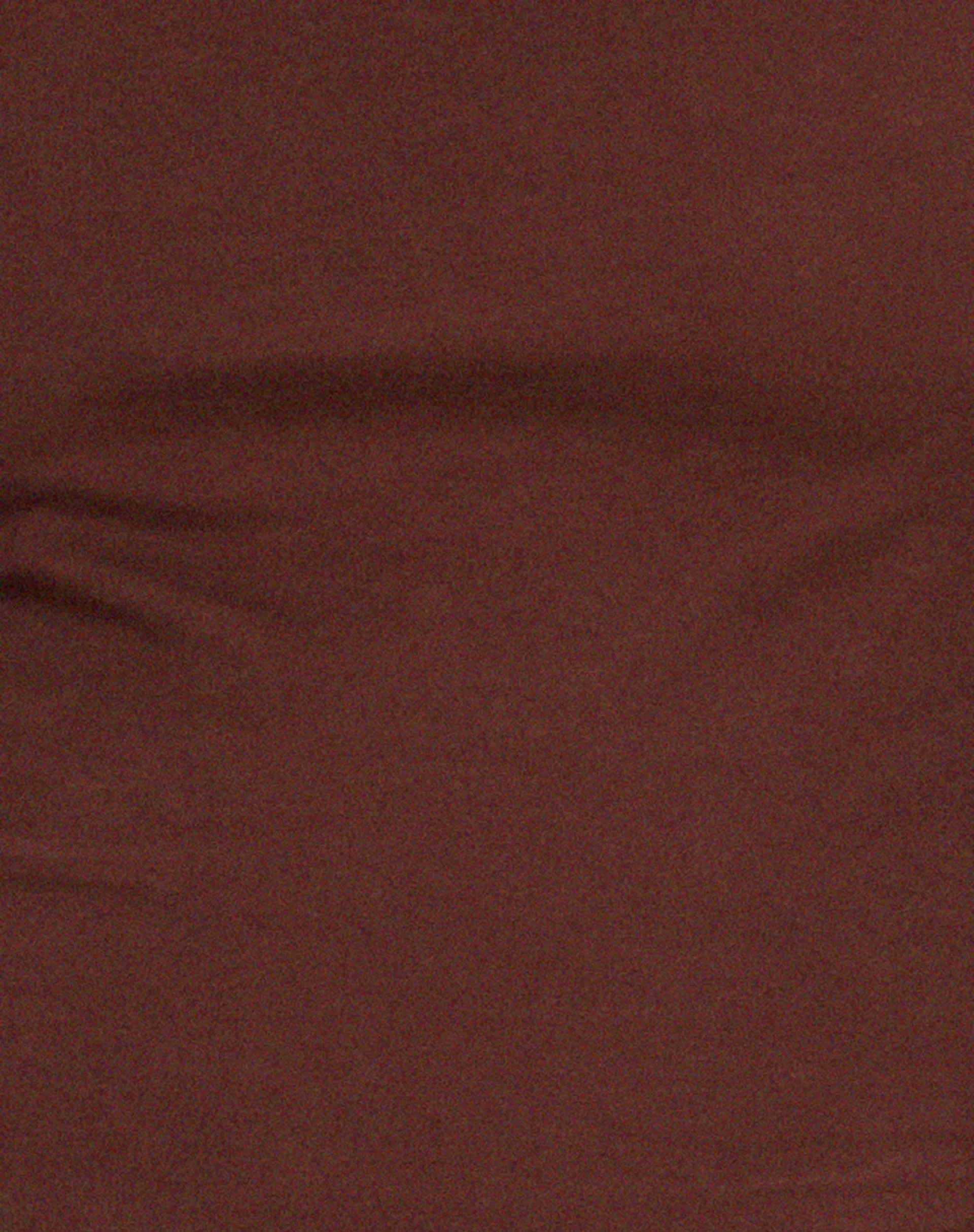 Bonja Long Sleeve Top in Seal Brown