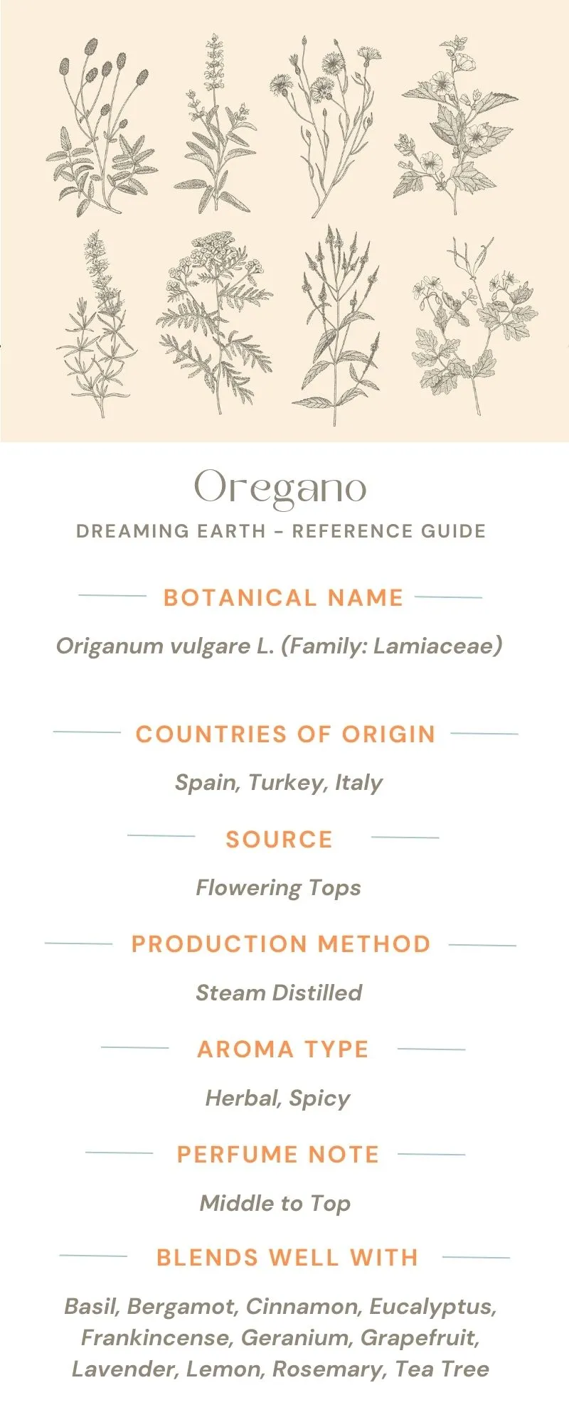 Oregano Essential Oil