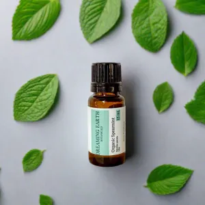 Spearmint - Organic Essential Oil